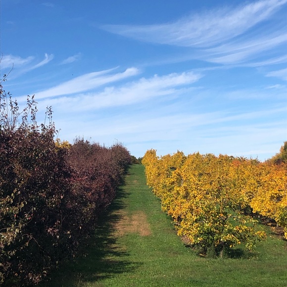 Meet your Posher, Kathleen - Picture 4 of 4